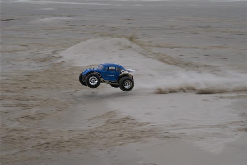 beetlestrand (Medium).JPG